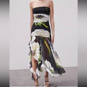 Zara Strapless Printed Tulle Dress